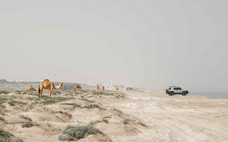 Khaluf Beach with 4WD | rooftop rental Oman