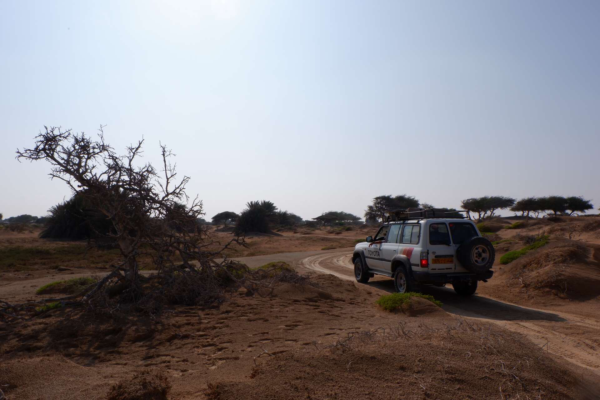 4WD Toyota Land Cruiser on a sandy desert track in Oman | nomad